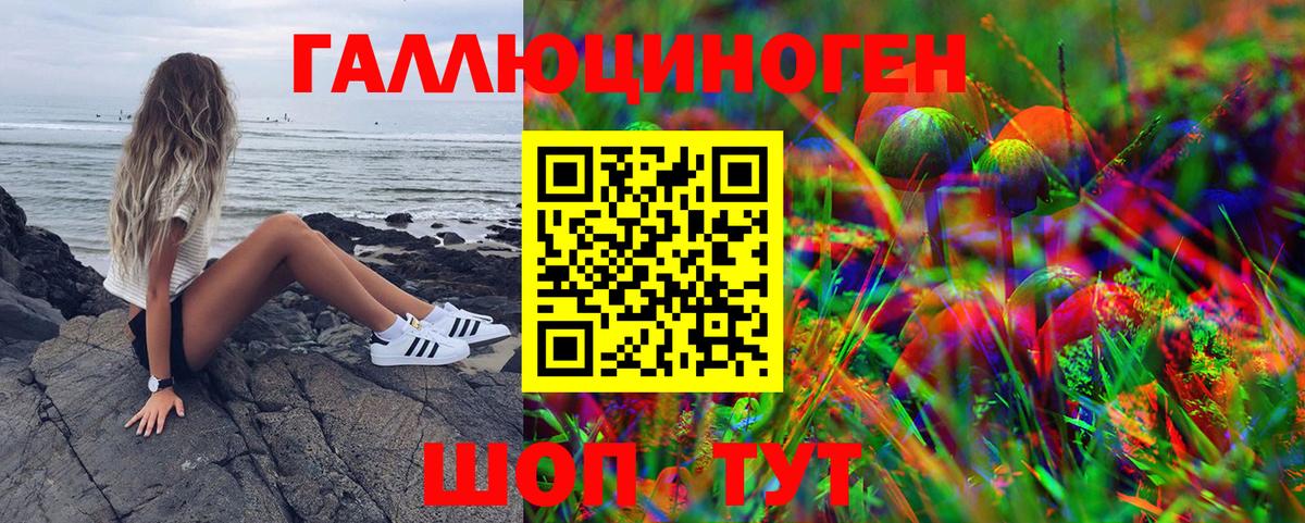 Галлюциногенные грибы MAGIC MUSHROOMS  Вход с VPN  Нальчик  Псилоцибиновые грибы Psilocybe 