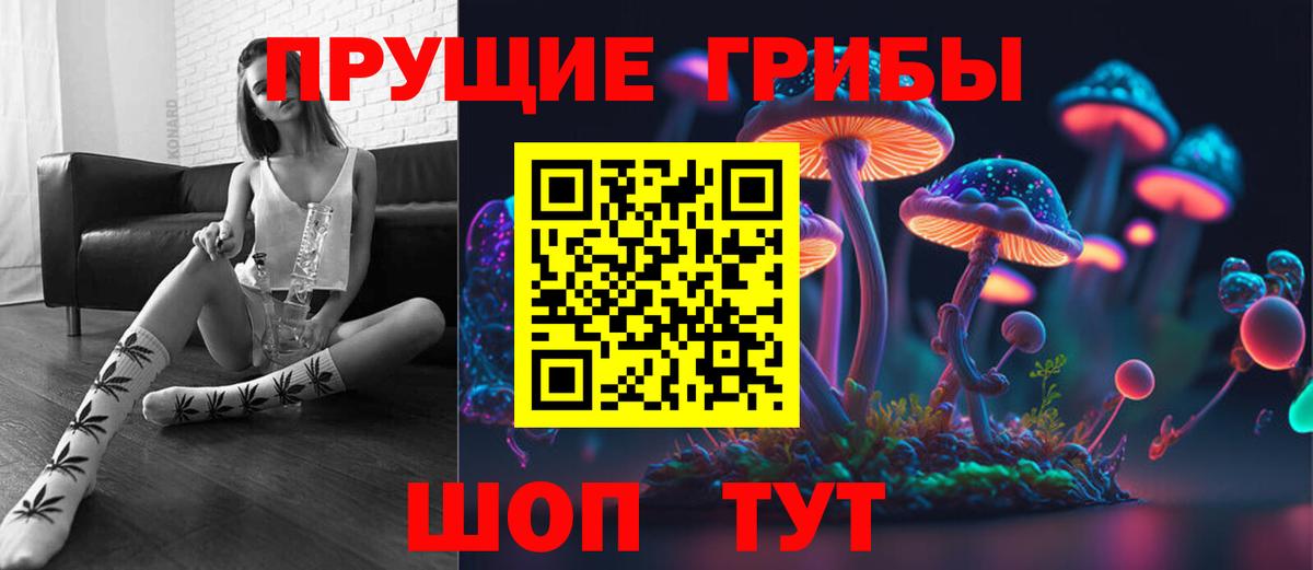Галлюциногенные грибы Cubensis Нальчик